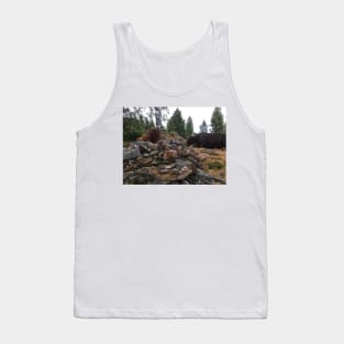 Scottish Highland Cattle Bulls 2083 Tank Top